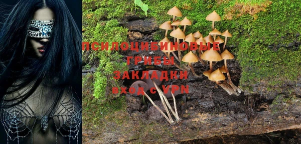 экстази Белокуриха