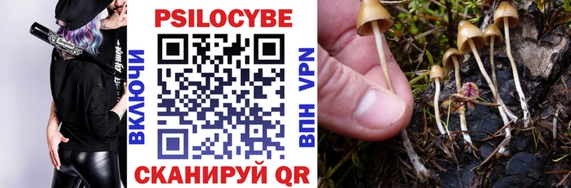 Купить где  Белоярский  Галлюциногенные грибы мухоморы 